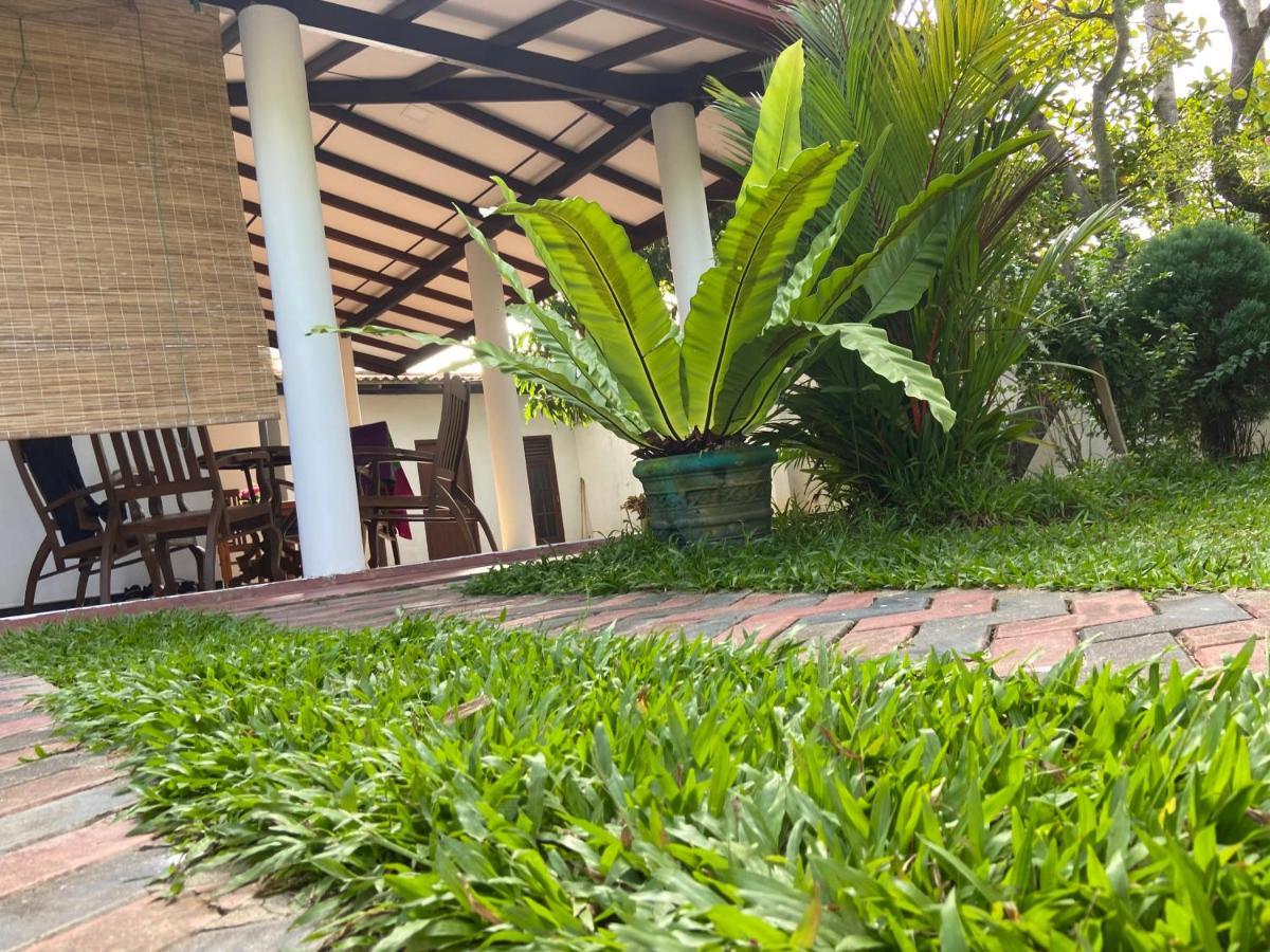 Mirissa Gold Rush Villa Exterior photo