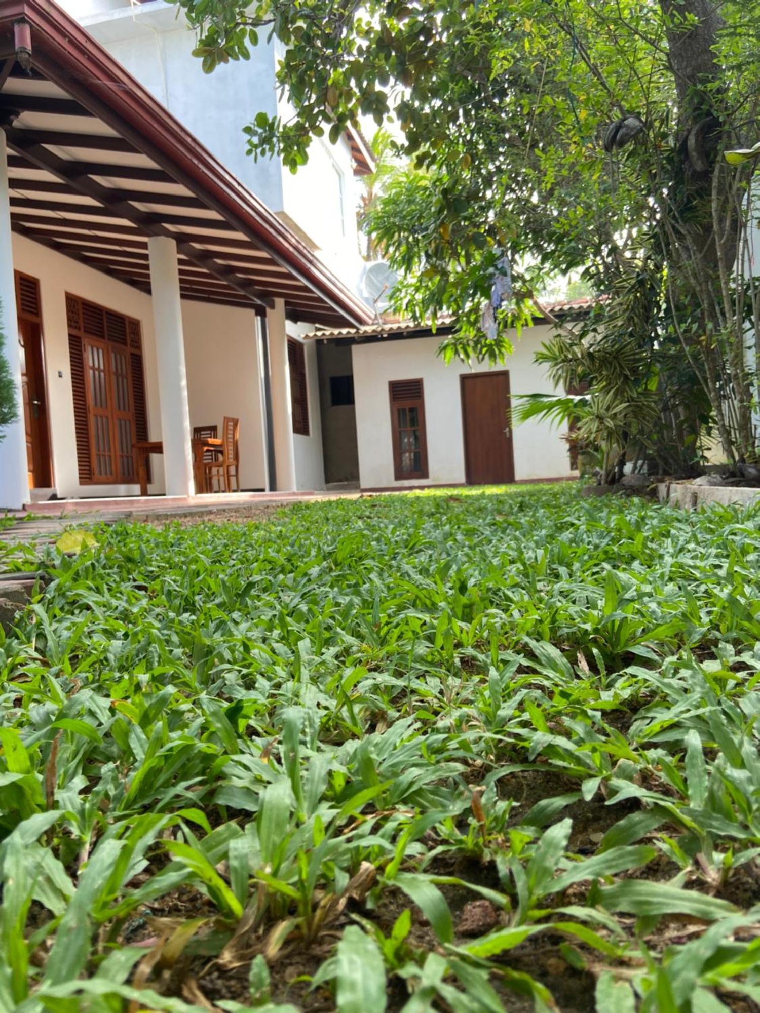 Mirissa Gold Rush Villa Exterior photo